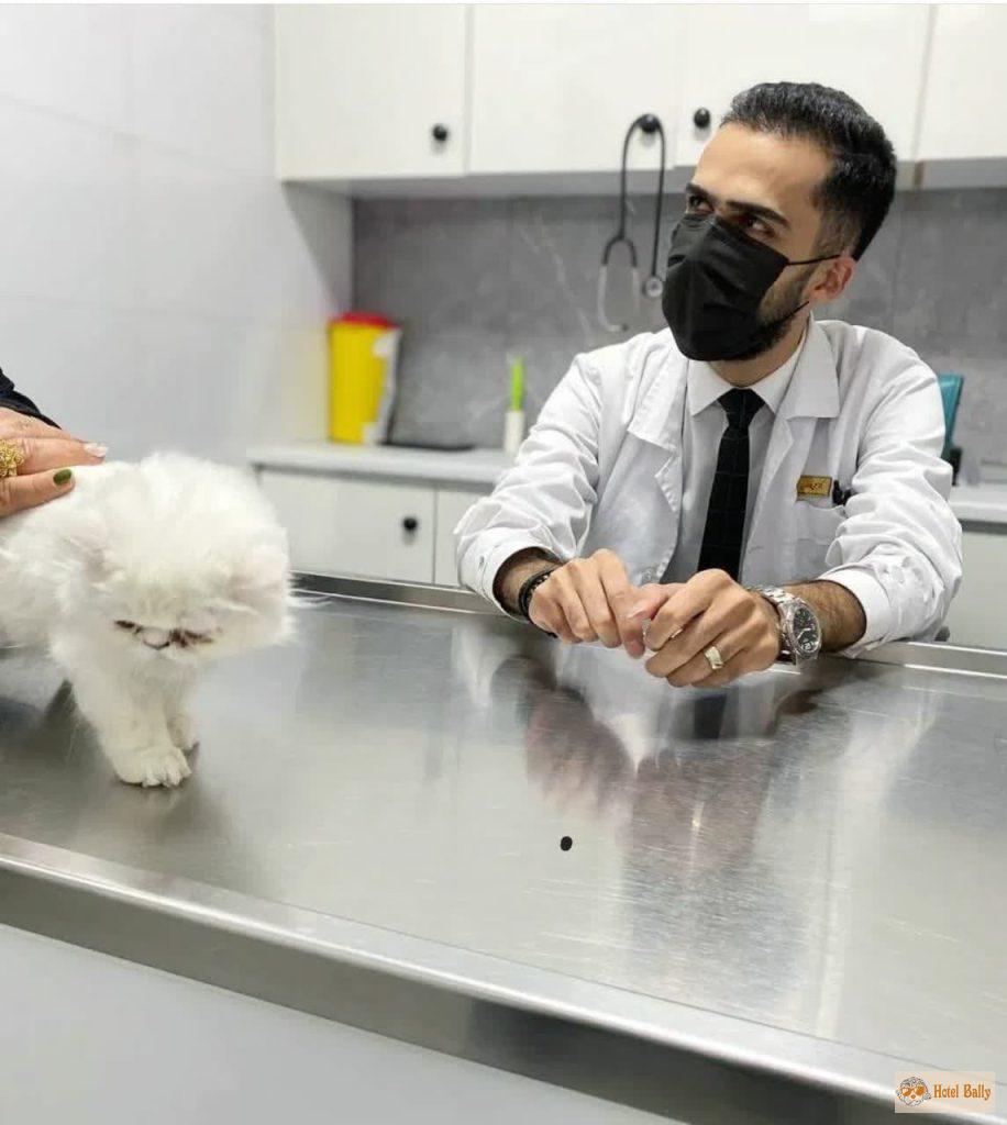 علی عمادالدین دامپزشک پانسیون حیوانات خانگی هتل بالی